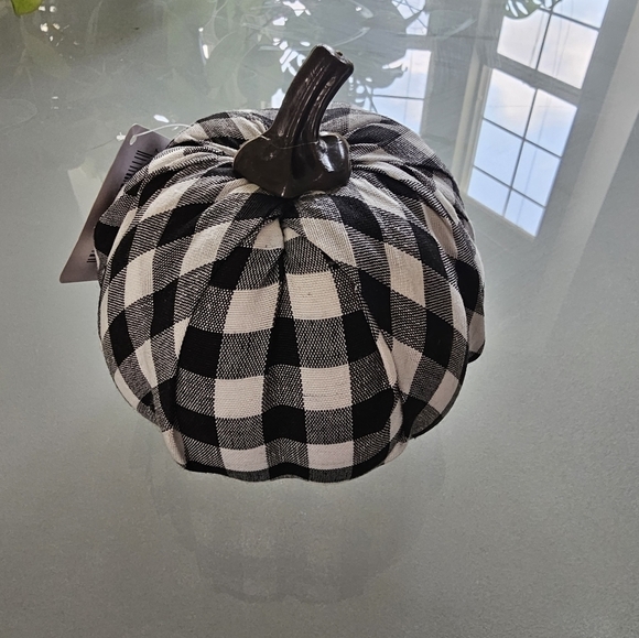 HELLO PUMPKIN FALL HARVEST FARMHOUSE DECOR W/GINGHAM PUMPKIN & MAPLE LEAF LIGHTS - Picture 2 of 9